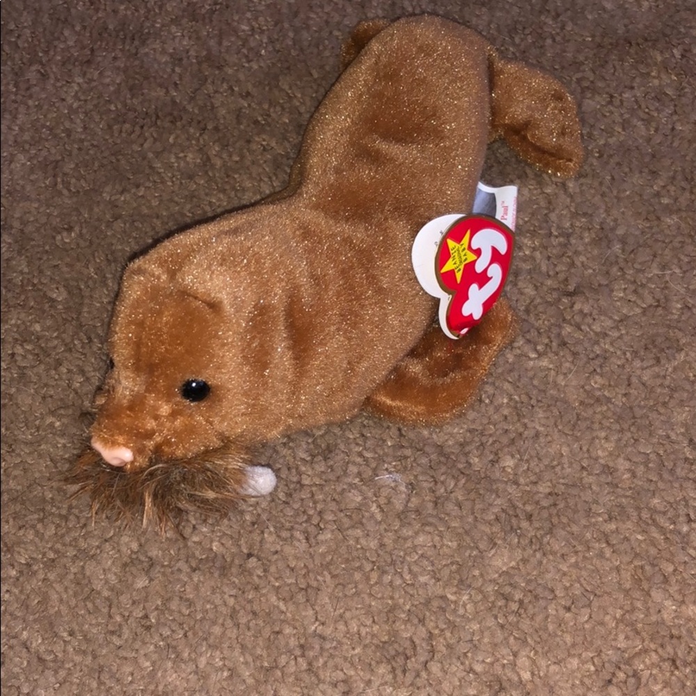 Paul the Walrus Ty Beanie Baby!